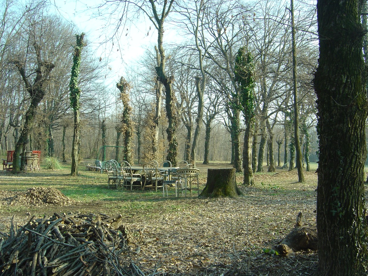 Il verde di Cantello